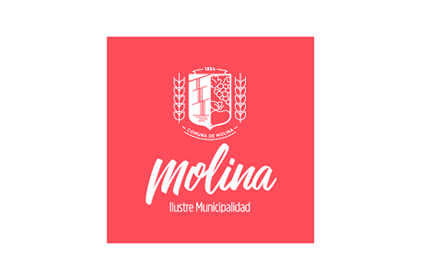 Molino Ilustre Municipalidad